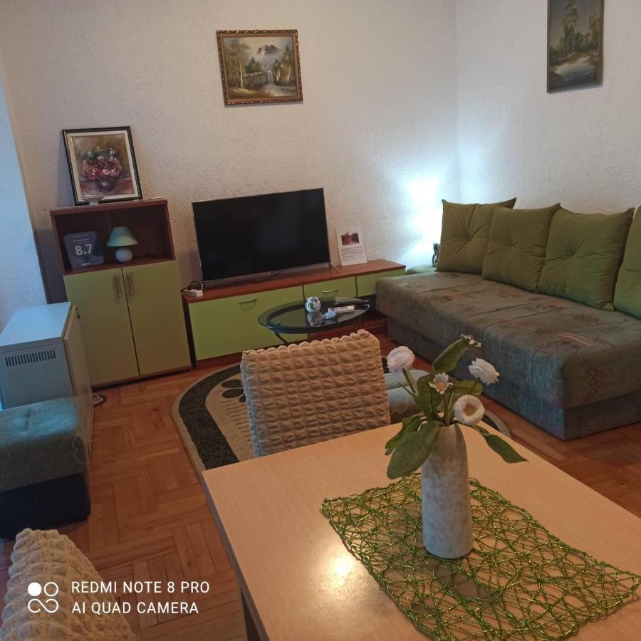 Apartman Radicevic Vrnjačka Banja Exteriör bild